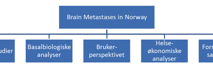 Figur 1. Oversikt over prosjektet «Brain Metastases in Norway – Improved Classification and Treatment» med delprosjekter