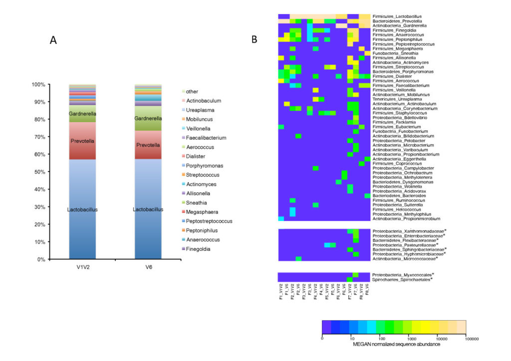 Figure 2. Outcome of 16S rDNA sequencing. Bacterial genera detected in healthy female urine. Reprinted from (3)  A: Comparison of healthy female urine bacterial genera abundance determined by sequencing 2 different hypervariable 16S rDNA regions, V1V2 and V6. Relative abundance of 18 major bacterial genera found in the sequence pool of eight different urine samples are shown for the two 16S rDNA regions. Groups denoted ”other” represent minor groups classified. Y-axis represents relative abundance. B: Heat map showing the relative abundance of bacterial genera across urine samples of eight healthy females. Genera denoted as phylum-genus, samples denoted as samplenumber_V1V2 or V6. Taxa marked with asterisk (*) could not be assigned to any genera, and are shown at the lowest common taxon: family and order. Color intensity of the heat map is directly proportional to log 10 scale of the abundance normalized sequence data as done by MEGAN.