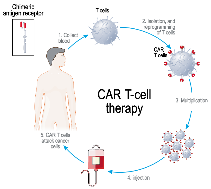 Car T-cell